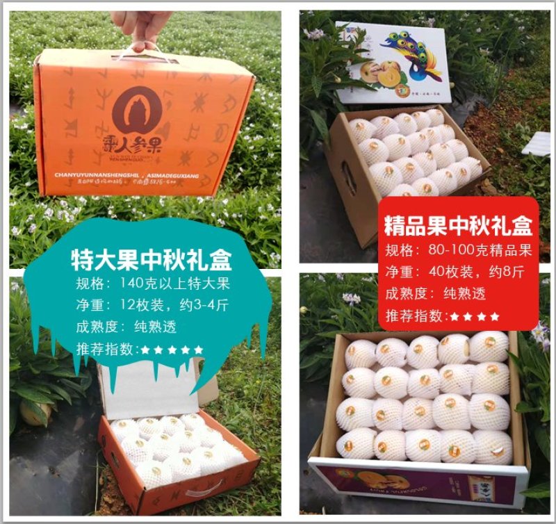 云南人参果雪莲果纸箱泡沫箱规格多欢迎联系