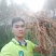 广西灵山正宗纯五指毛桃苗