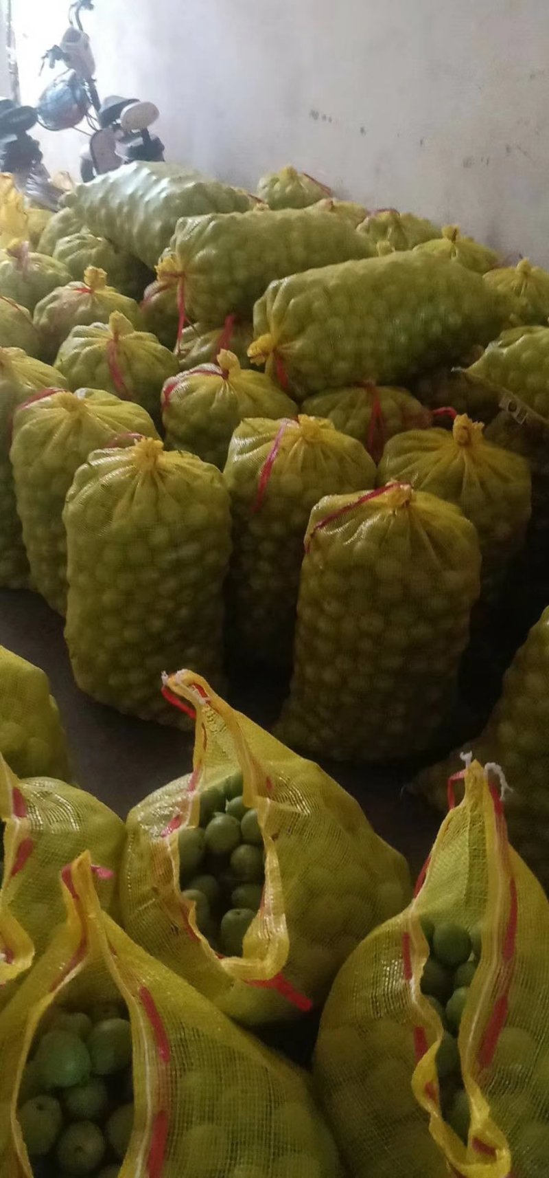 青皮核桃