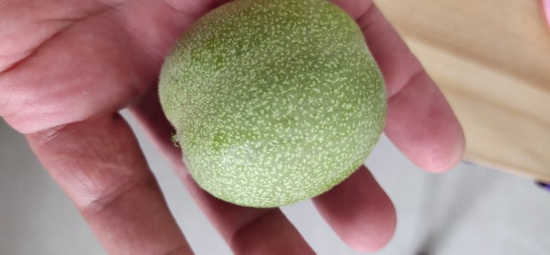 青皮核桃