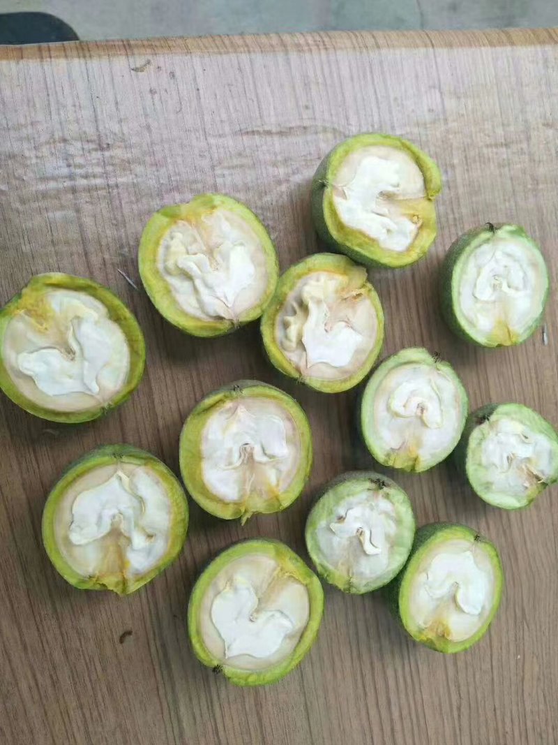 青皮核桃