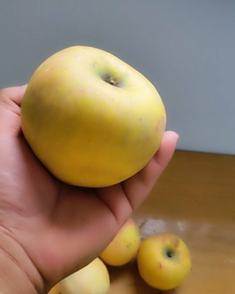 苹果，梨