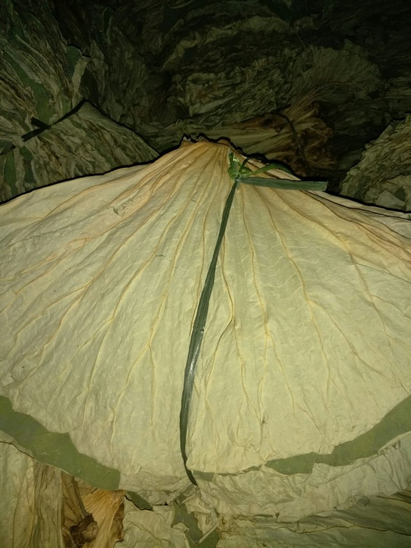 《白洋淀野生干荷叶》