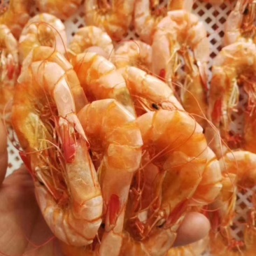 烤干虾，补钙神器，干度好，不咸，20斤起批