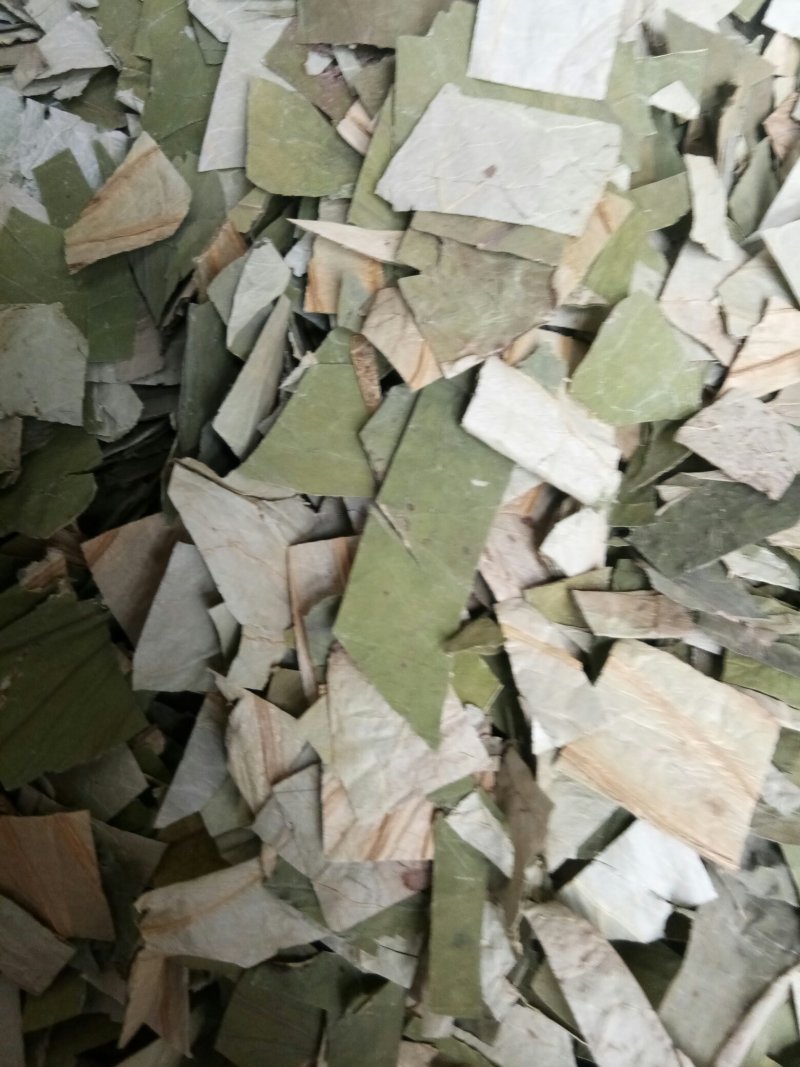荷叶无硫各种规格人工挑选可以喝的荷叶一公斤起包邮