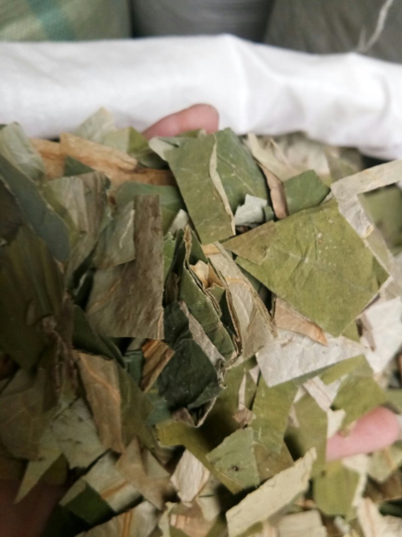 荷叶无硫各种规格人工挑选可以喝的荷叶一公斤起包邮