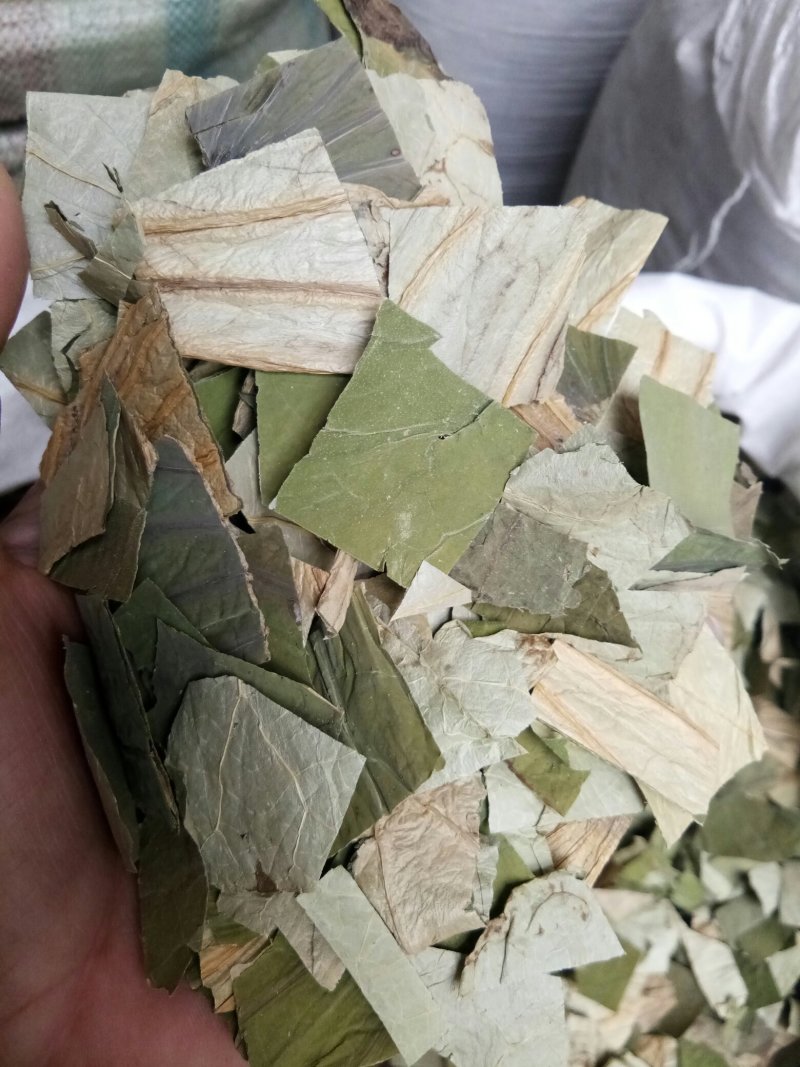 荷叶无硫各种规格人工挑选可以喝的荷叶一公斤起包邮