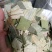 荷叶无硫各种规格人工挑选可以喝的荷叶一公斤起包邮
