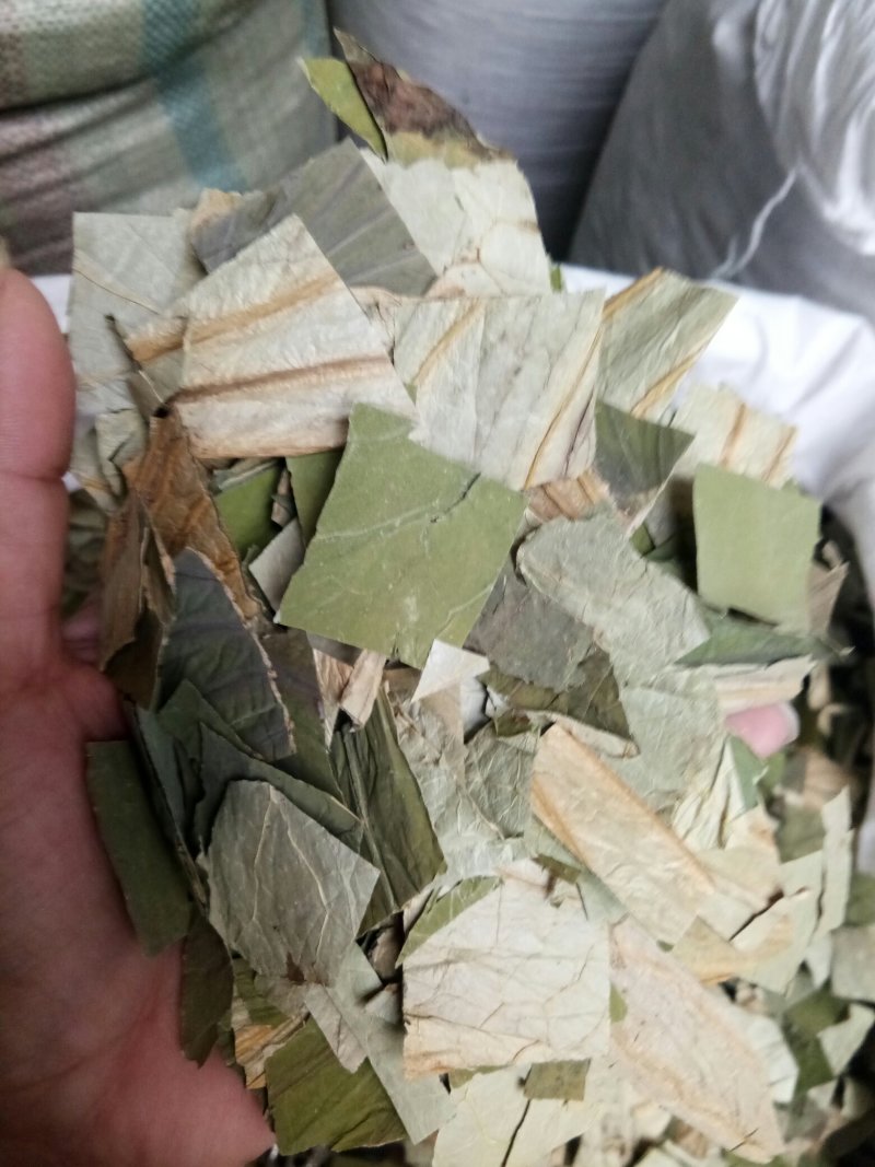 荷叶无硫各种规格人工挑选可以喝的荷叶一公斤起包邮