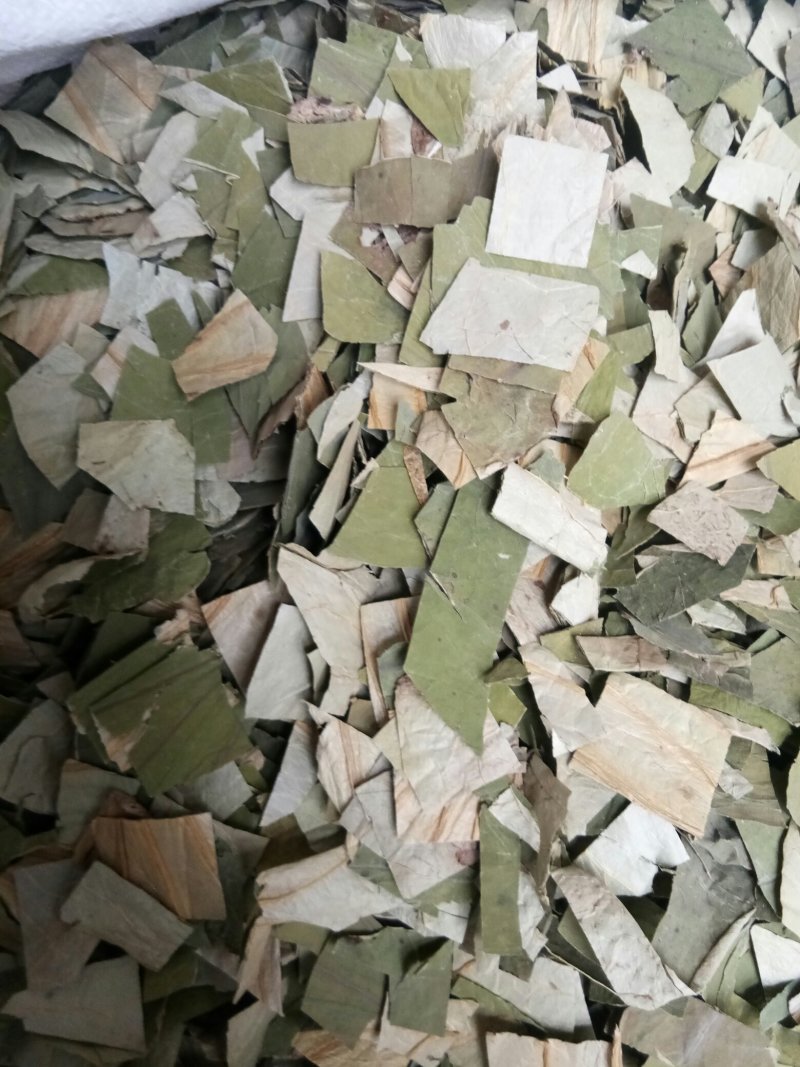 荷叶无硫各种规格人工挑选可以喝的荷叶一公斤起包邮
