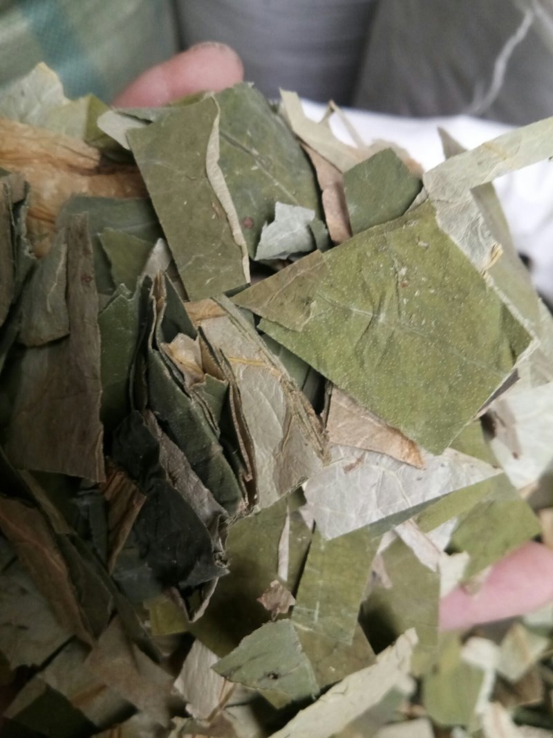荷叶无硫各种规格人工挑选可以喝的荷叶一公斤起包邮
