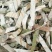 荷叶无硫各种规格人工挑选可以喝的荷叶一公斤起包邮
