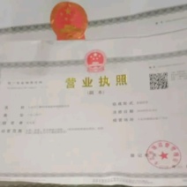 徐州丰县大沙河早熟黄桃基地，主营黄金密品种
