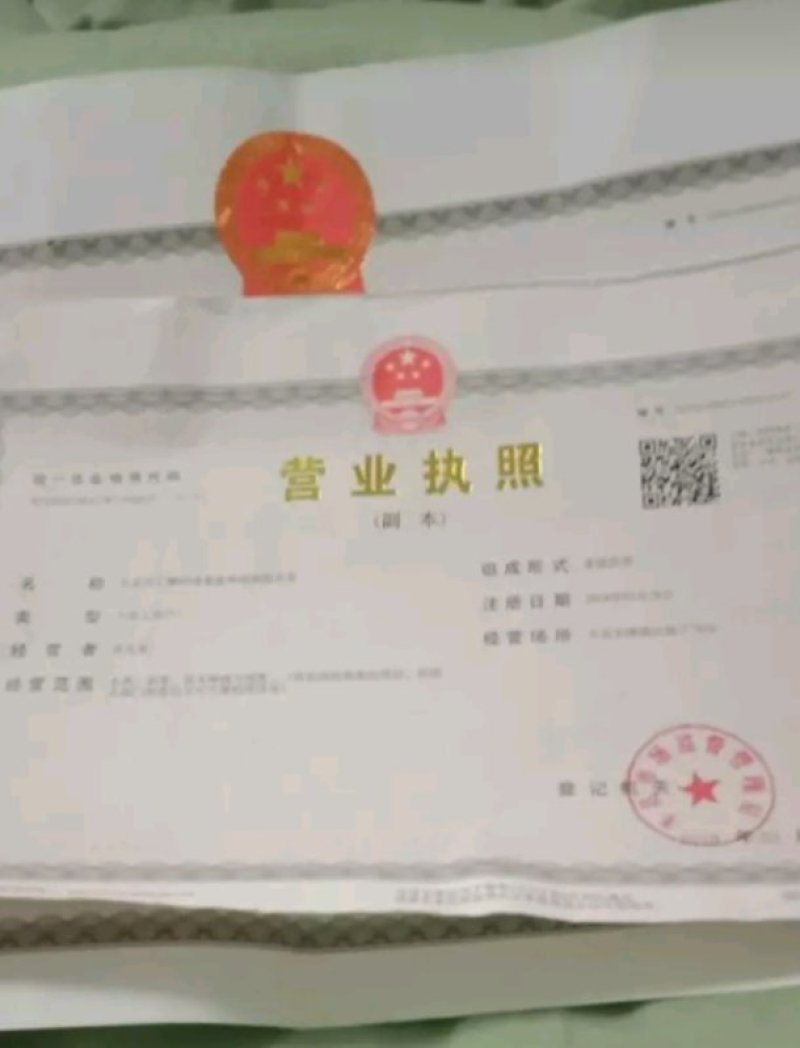 徐州丰县大沙河早熟黄桃基地，主营黄金密品种