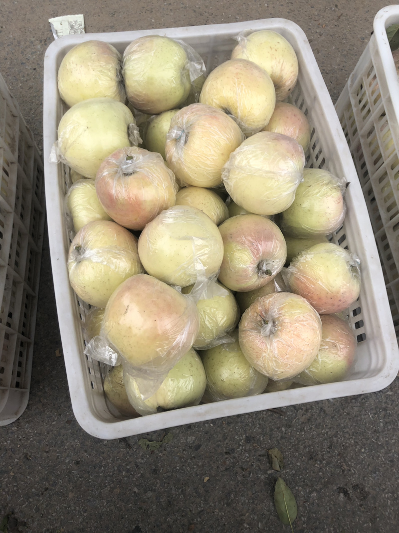 热销山东红富士苹果，个头大颜色鲜口感脆甜，一手货质量保证
