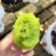 博山碧玉猕猴桃泰山一号