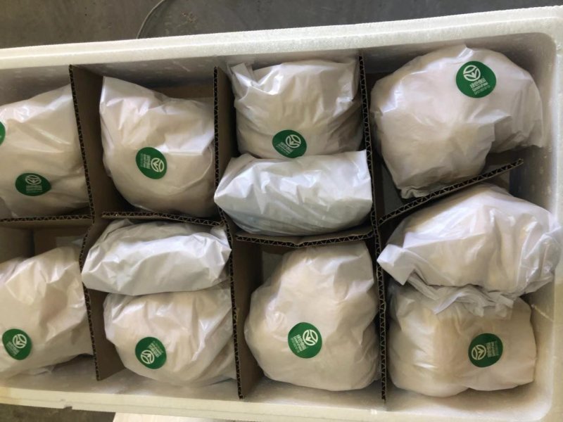 【海麟玉品】东北猴头菇鲜猴头菇有机绿标产地直发