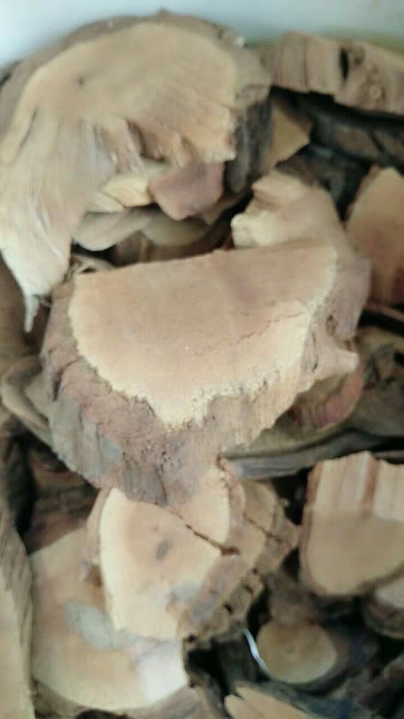 无硫黑老虎根价钻骨风冷饭团钻山风农家初选