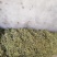 出售黑龙江拜泉豆角丝