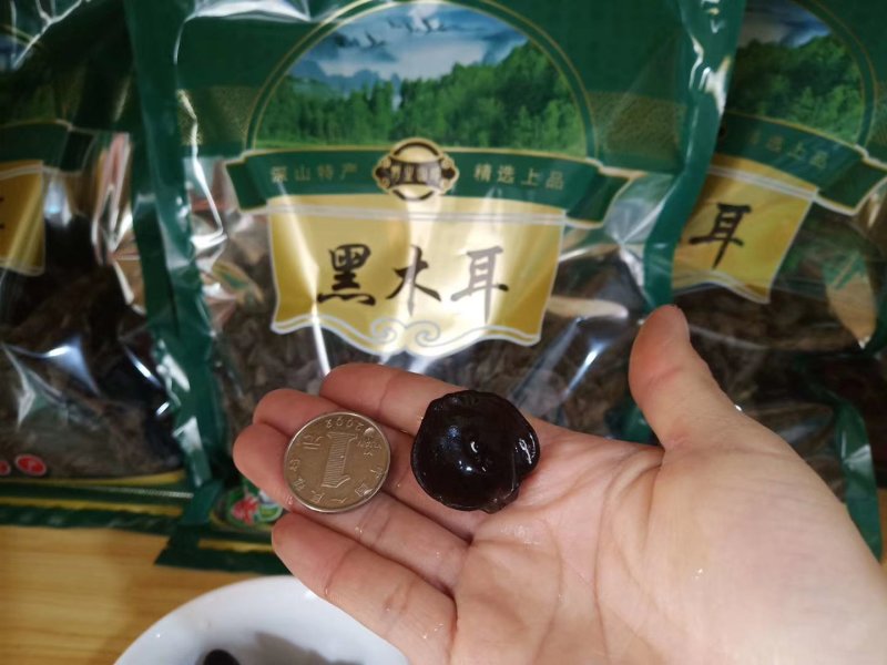 东北特产黑木耳