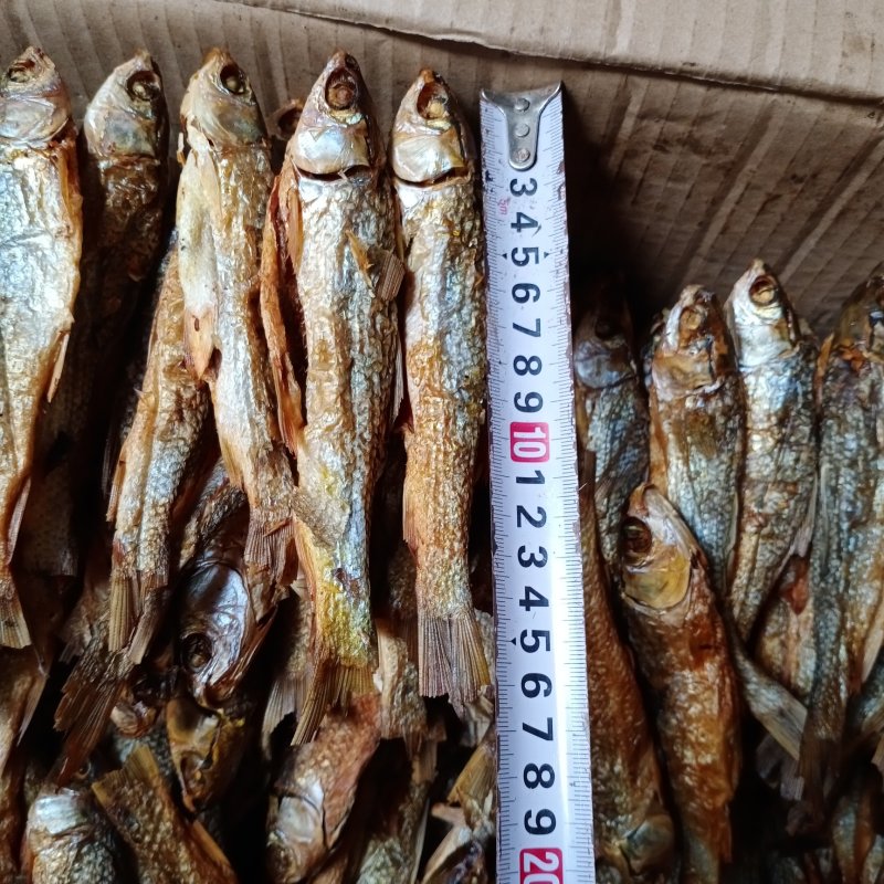 鱼干，品相好鱼干刁子鱼，火焙鱼，餐条鱼品质破肚