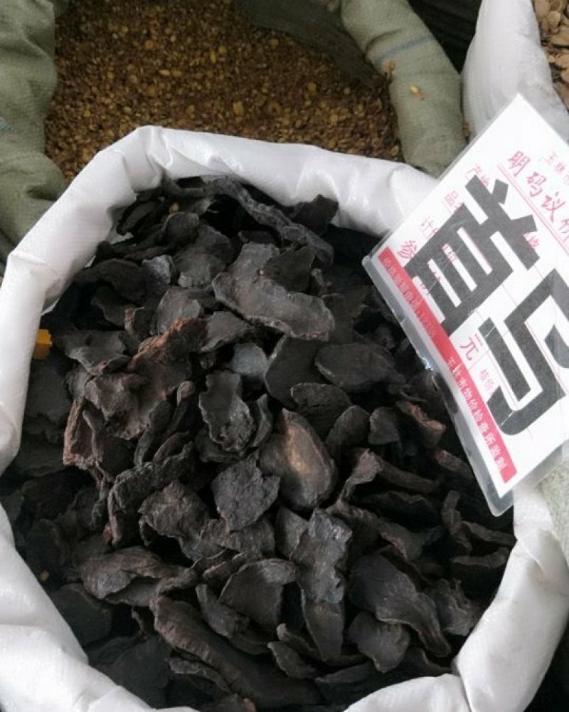 何首乌