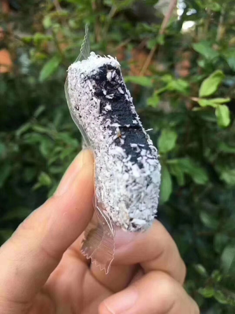 陈皮糕，黄皮糕，老香黄糕，枇杷糕。量多价优