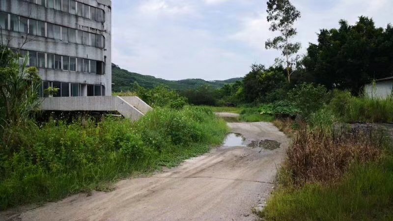 转让(价钱面议为准)