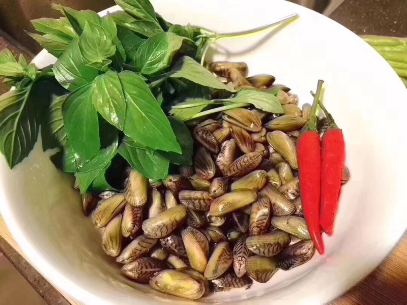 薄壳海瓜子