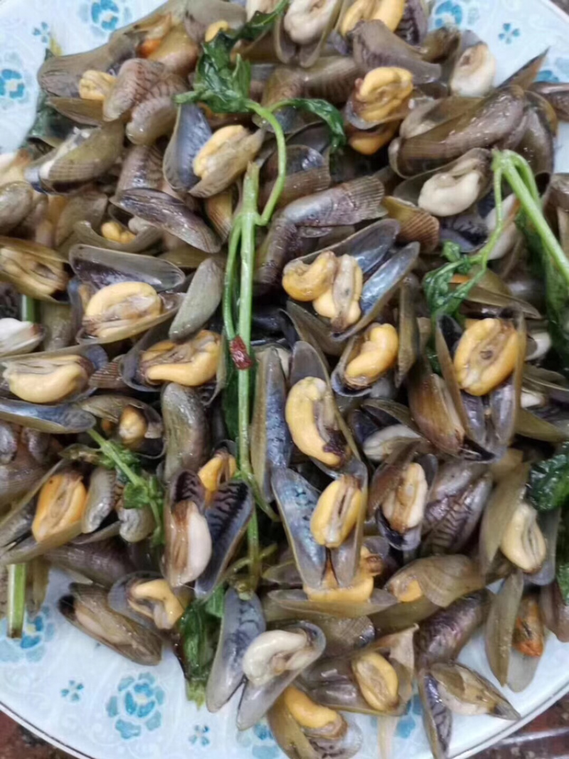 薄壳海瓜子