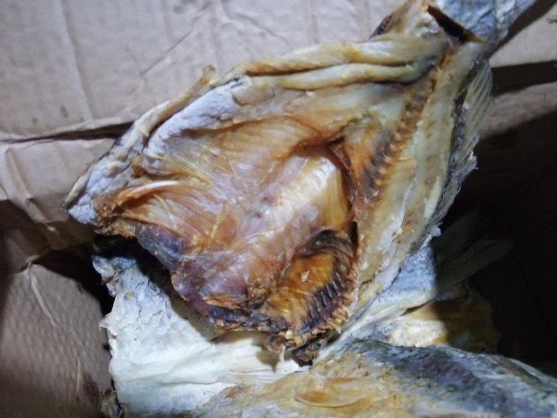 清水江，小溪小河的原生态鱼，天然生长，味美营养丰富