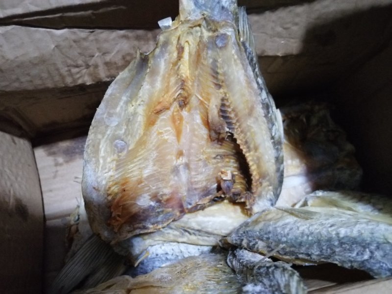 清水江，小溪小河的原生态鱼，天然生长，味美营养丰富