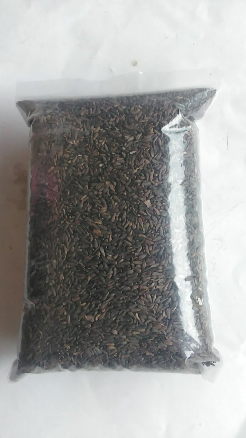 牛蒡子野生中药材秦岭大力子干品药用种植均可粒粒包满无杂质