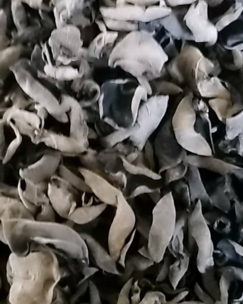 【实图拍摄】高泡发黑木耳，单片肉厚，耐泡！
