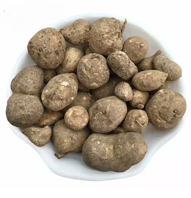 大统装金丝吊葫芦石老鼠地葫芦石猴子产地货