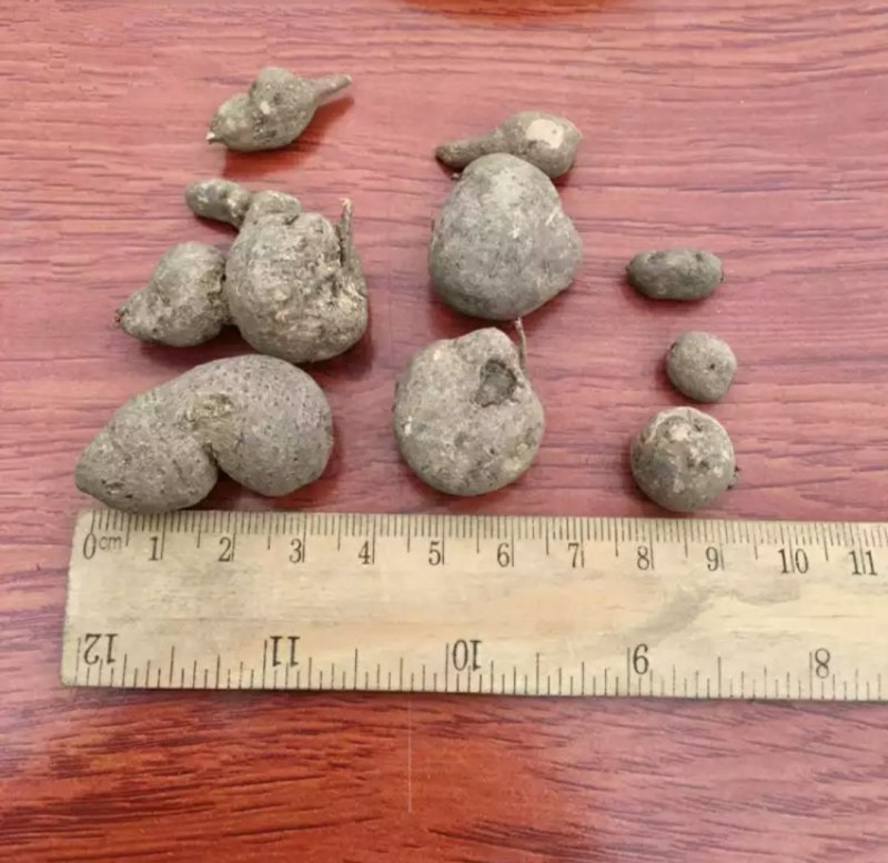 大统装金丝吊葫芦石老鼠地葫芦石猴子产地货