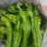薄皮椒，大棚种植，毛皮非常靓