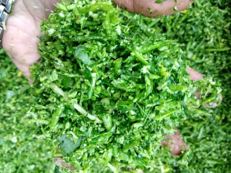 铡草机切菜机养殖鸡鸭鹅切草机青贮饲料粉碎机