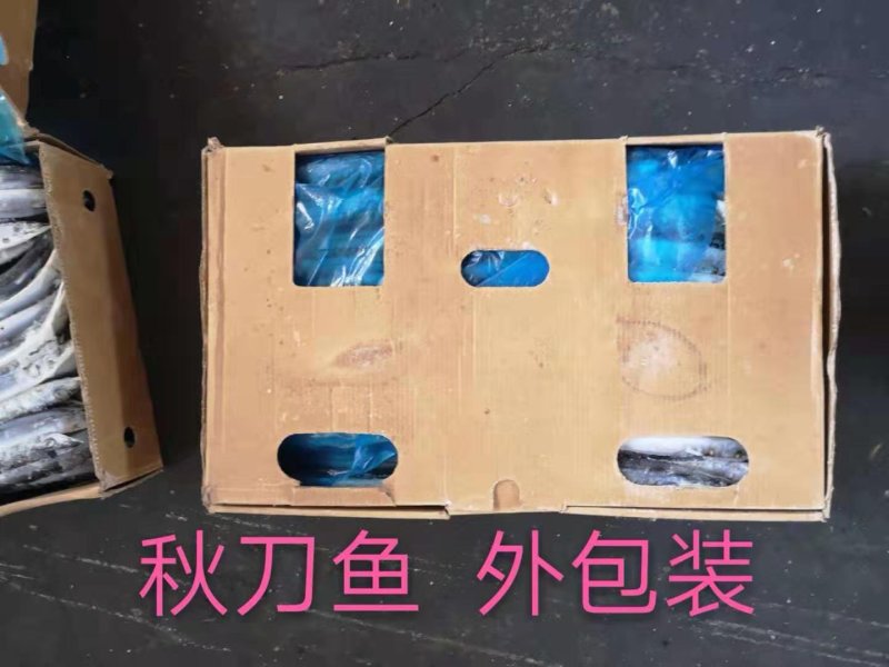 秋刀鱼