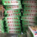 【舜波中药材】黄山贡菊袋装净重40克量大从优