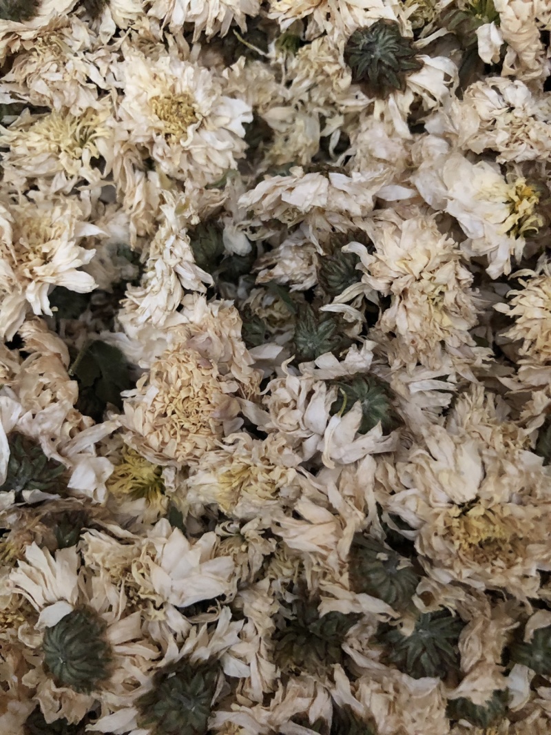 【舜波中药材】正品黄山贡菊量大从优
