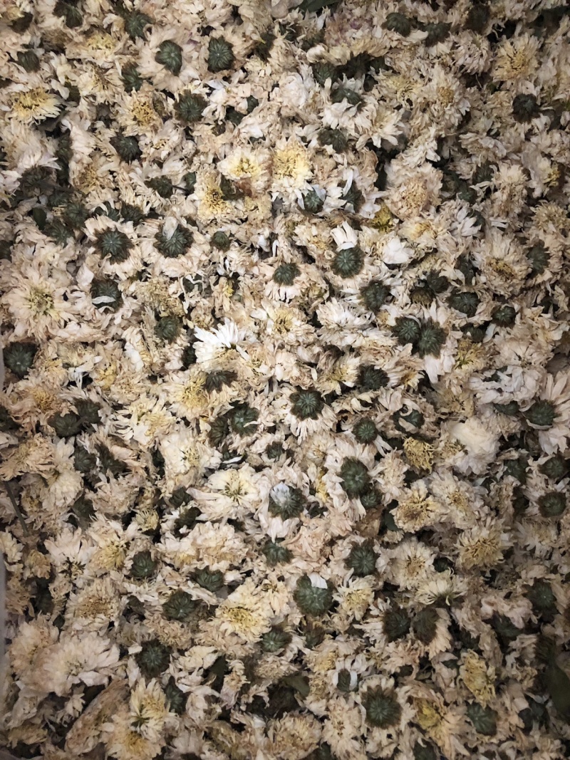 【舜波中药材】正品黄山贡菊量大从优