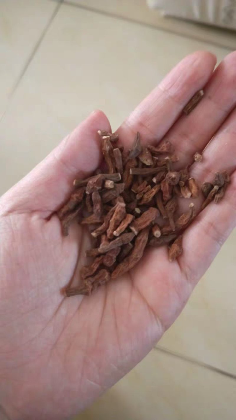 蕨麻年新货甘南蕨麻中草药农家初选11111