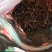 蕨麻年新货甘南蕨麻中草药农家初选11111