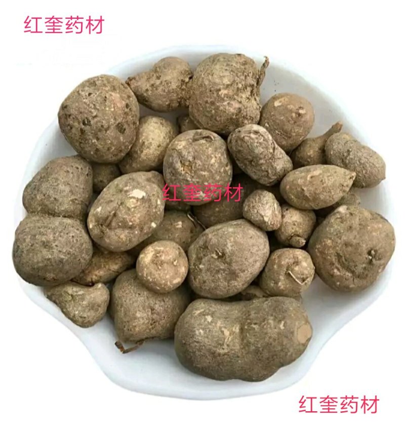 大统装金丝吊葫芦石老鼠地葫芦石猴子产地货