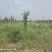禽蓄养殖场地出租