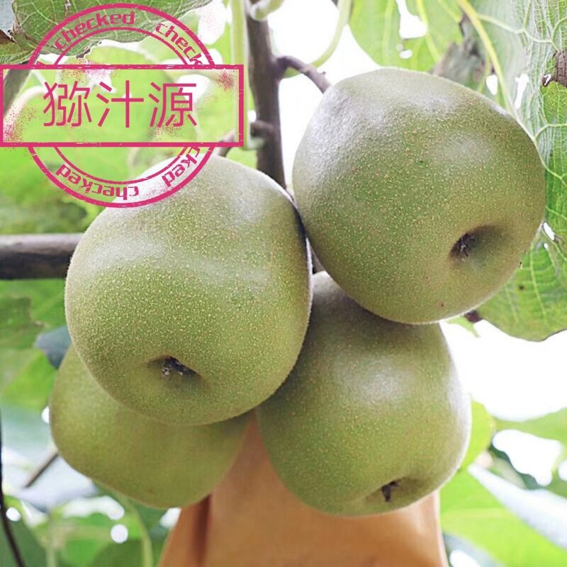 红心猕猴桃