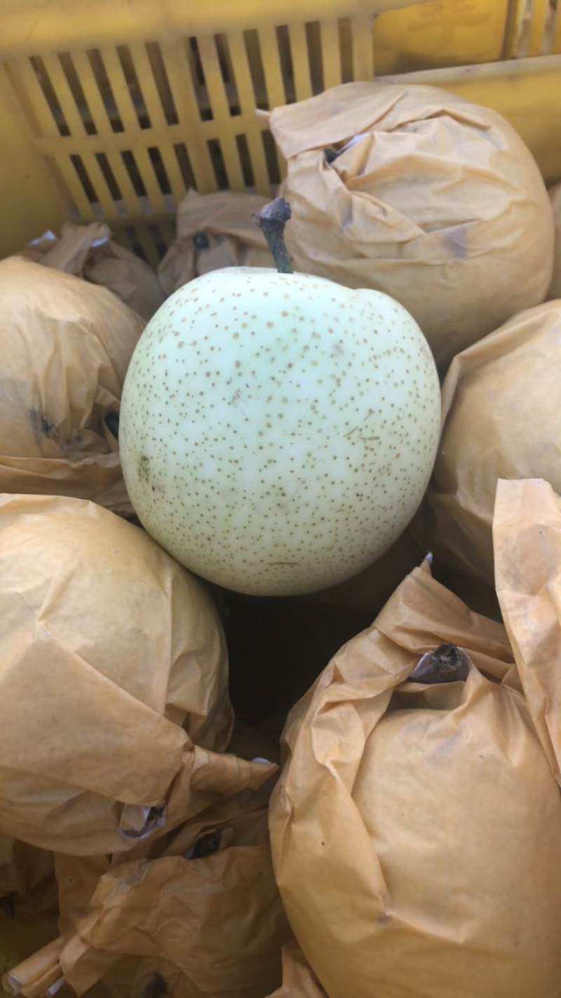黄金