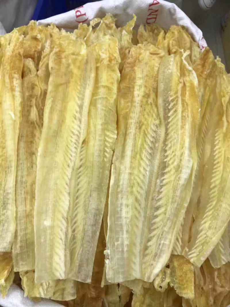 鱼唇新鲜胶质好10-12寸/斤