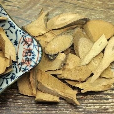 铁包金狗脚利老鼠草鼠乳头乌金藤小号铁包金